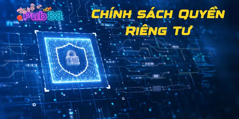 Những dữ liệu được nhà cái Pub88 thu thập