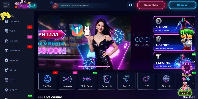 Tổng quan về chính sách quyền riêng tư Pub88