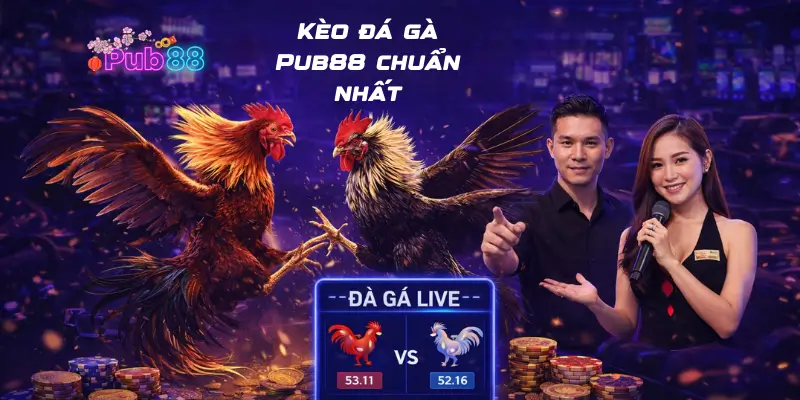 Kèo đá gà Pub88 chuẩn nhất